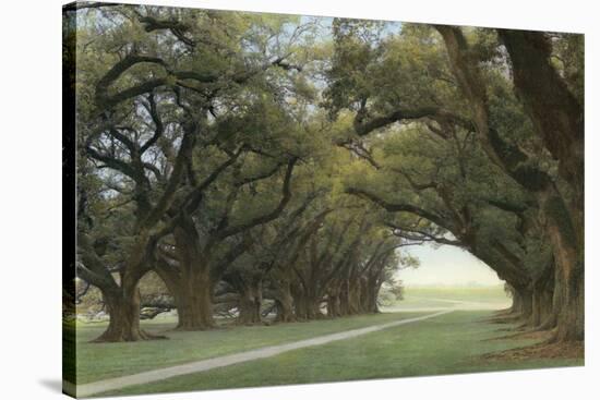 Alley of the Oaks-William Guion-Stretched Canvas