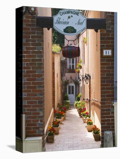 Alleyway in Village with Colorful Flowers, Hautvillers, Vallee De La Marne, Champagne, France-Per Karlsson-Premier Image Canvas