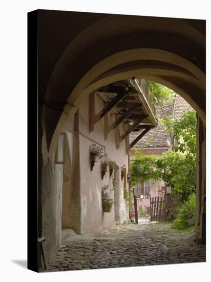 Alleyway, Sighisoara, Transylvania, Romania, Europe-Gary Cook-Premier Image Canvas