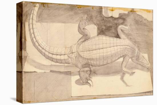 Alligator, 1948-Evelyn Williams-Premier Image Canvas