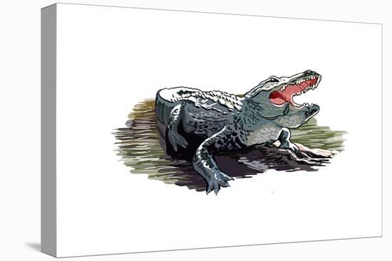 Alligator - Icon-Lantern Press-Stretched Canvas