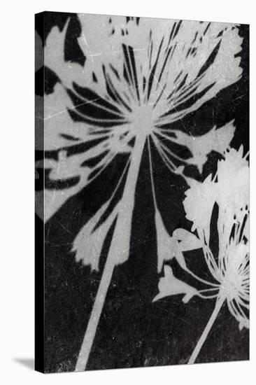 Allium Shade-Ella Lancaster-Stretched Canvas