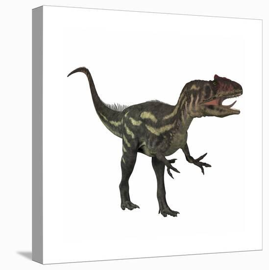 Allosaurus, a Prehistoric Era Dinosaur-null-Stretched Canvas