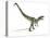 Allosaurus Dinosaur, Artwork-null-Premier Image Canvas