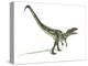 Allosaurus Dinosaur, Artwork-null-Premier Image Canvas