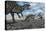 Allosaurus Dinosaurs Moving in to Kill a Stegosaurus Trapped in a Mud Pit-null-Stretched Canvas