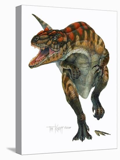 Allosaurus-Tim Knepp-Premier Image Canvas