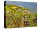 Allotment above Mousehole-Judy Joel-Premier Image Canvas