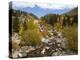 Alluvial Fan, Rocky Mountain National Park, Colorado, USA-Jamie & Judy Wild-Premier Image Canvas