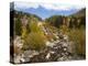 Alluvial Fan, Rocky Mountain National Park, Colorado, USA-Jamie & Judy Wild-Premier Image Canvas