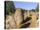 Almendres Cromlech Ancient Stone Circle. Portugal-Martin Zwick-Premier Image Canvas