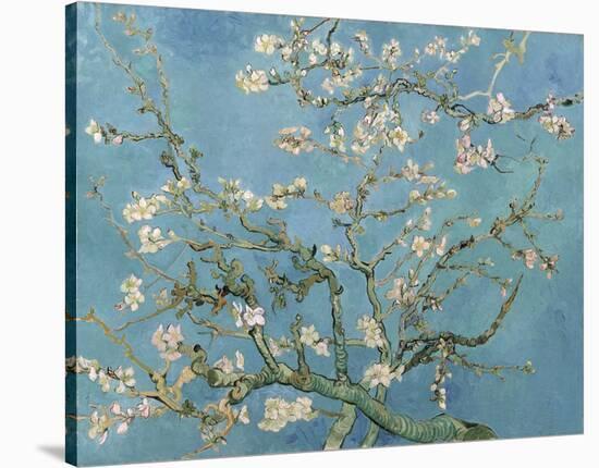 Almond Blossom, 1890-Vincent van Gogh-Stretched Canvas