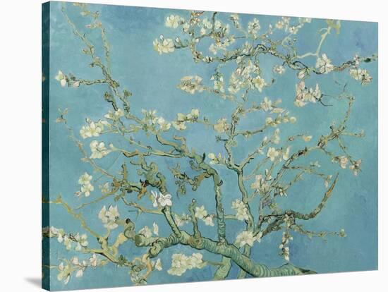 Almond Blossom, 1890-Vincent van Gogh-Premier Image Canvas