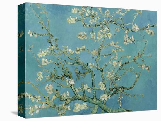 Almond Blossom. 1890-Vincent van Gogh-Premier Image Canvas