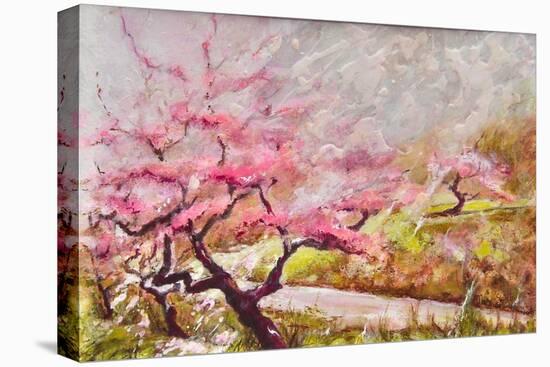Almond Blossom In The Mountains-Mary Smith-Premier Image Canvas