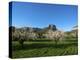 Almond Blossom, Serra De Tramuntana Auf Majorca, Balearics, Spain-Katja Kreder-Premier Image Canvas