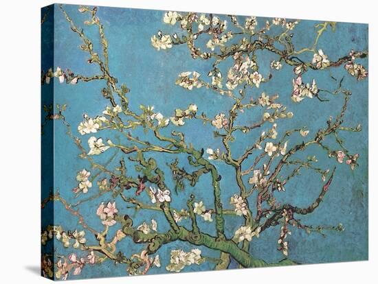 Almond Branches in Bloom, San Remy, c.1890-Vincent van Gogh-Stretched Canvas
