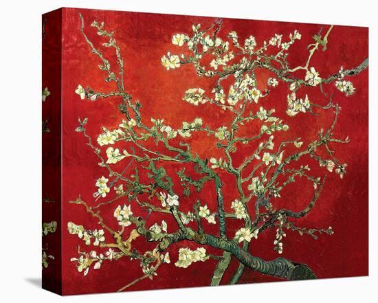 Almond Branches in Red-null-Stretched Canvas