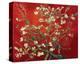 Almond Branches in Red-null-Stretched Canvas