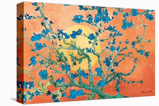 Almond Branches in Sunshine-null-Stretched Canvas