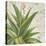 Aloe II-Patricia Pinto-Stretched Canvas