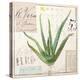 Aloe Vera…Sketchbook-Angela Staehling-Stretched Canvas