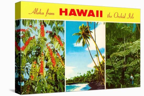 Aloha from Hawaii-null-Stretched Canvas