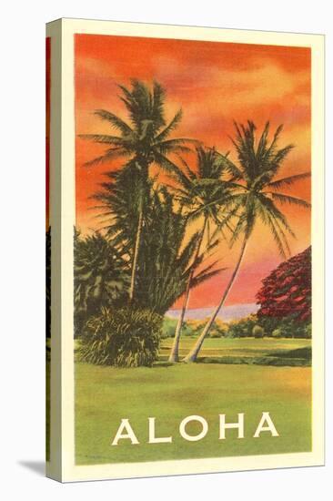 Aloha: Palm Trees-null-Stretched Canvas