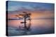 Alone at Sunrise-Moises Levy-Premier Image Canvas