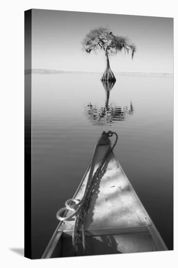 Alone with my Tree II-Moises Levy-Premier Image Canvas