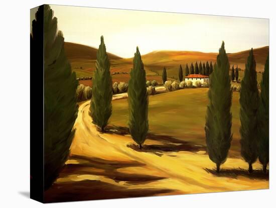 Along a Tuscan Road-Tim Howe-Premier Image Canvas