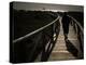 Along a Wooden Track During a Walk to the Beach in Village of Zahara De Los Atunes, Southern Spain-null-Premier Image Canvas