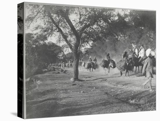 Along the Grand Trunk Road into Delhi, December 1912-English Photographer-Premier Image Canvas