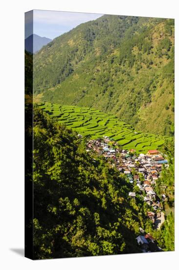 Along the Rice Terraces from Bontoc to Banaue, Luzon, Philippines-Michael Runkel-Premier Image Canvas