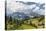Alp Close Corvara, 'Puezgruppe' (Mountain Range) Behind, the Dolomites, South Tyrol, Italy, Europe-Gerhard Wild-Premier Image Canvas