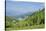 Alp scenery, Rote Wand (mountain), Styria, Austria, Europe,-David & Micha Sheldon-Stretched Canvas