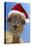 Alpaca Wearing Christmas Hat-null-Premier Image Canvas