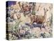 Alpacas on a Mountain Path-John Edwin Noble-Premier Image Canvas