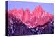 Alpenglow at Dawn-Douglas Taylor-Stretched Canvas