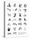 Alphabet Animals A-Z-Stacy Hsu-Stretched Canvas