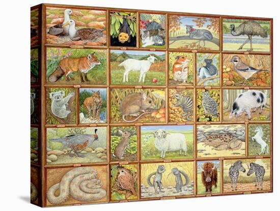 Alphabetical Animals-Ditz-Premier Image Canvas