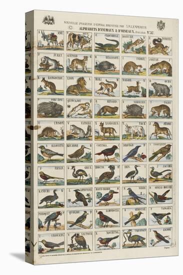 Alphabets d'animaux et d'oiseaux-null-Premier Image Canvas