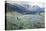 Alpin Meadow-John MacWhirter-Premier Image Canvas