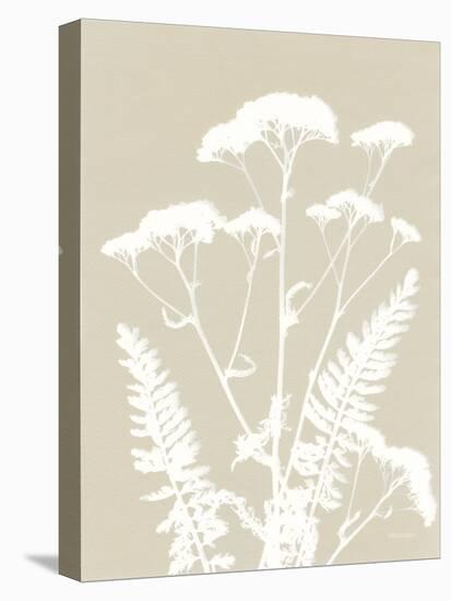 Alpine Flower I Neutral-Kathy Ferguson-Stretched Canvas