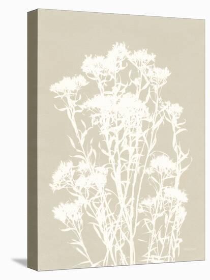 Alpine Flower II Neutral-Kathy Ferguson-Stretched Canvas