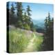 Alpine Hike-David Marty-Premier Image Canvas