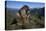 Alpine Marmot (Marmota Marmota) Feeding, Hohe Tauern National Park, Austria, July 2008-Lesniewski-Premier Image Canvas