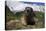 Alpine Marmot (Marmota Marmota) Portrait, Hohe Tauern National Park, Austria, July 2008-Lesniewski-Premier Image Canvas