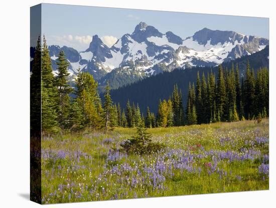 Alpine Meadow and Sarvent Glaciers, Mount Rainier National Park, Washington, USA-Jamie & Judy Wild-Premier Image Canvas