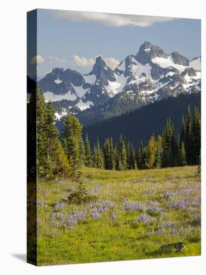 Alpine Meadow and Sarvent Glaciers, Mount Rainier National Park, Washington, USA-Jamie & Judy Wild-Premier Image Canvas